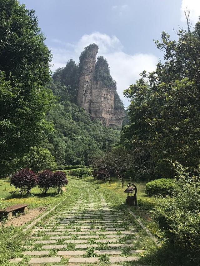 张家界凤凰旅游自由行攻略最新（张家界凤凰详细旅行攻略）(26)