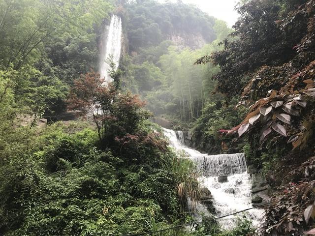 张家界凤凰旅游自由行攻略最新（张家界凤凰详细旅行攻略）(12)