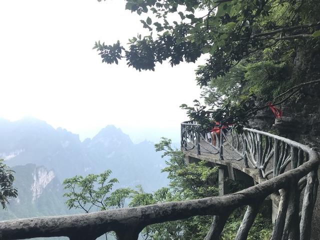 张家界凤凰旅游自由行攻略最新（张家界凤凰详细旅行攻略）(36)