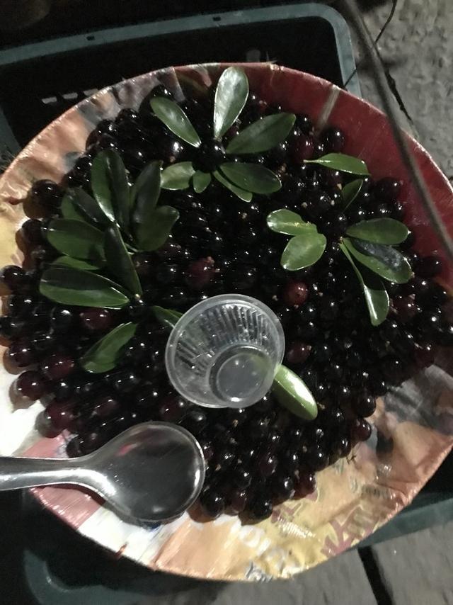 张家界凤凰旅游自由行攻略最新（张家界凤凰详细旅行攻略）(50)