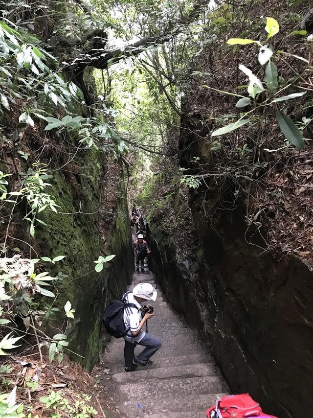 张家界凤凰旅游自由行攻略最新（张家界凤凰详细旅行攻略）(29)