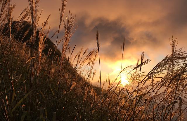 武功山旅游攻略最省力（最全武功山攻略）(2)