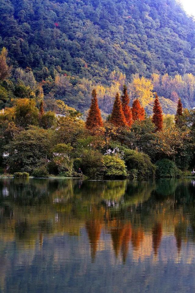 最美高铁线路旅游攻略（国内首条旅游高铁来了）(42)