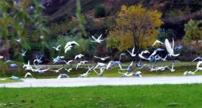 ​洛阳15路车公交路线时间表？班次间隔、各站发车时间、沿途站点