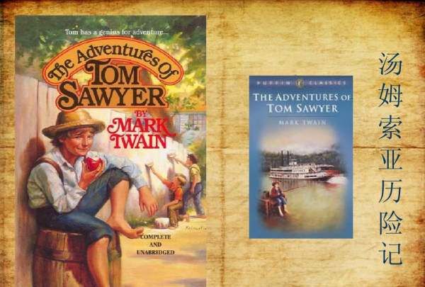 汤姆索亚历险记主要内容,《汤姆.索亚历险记》的主要内容图4