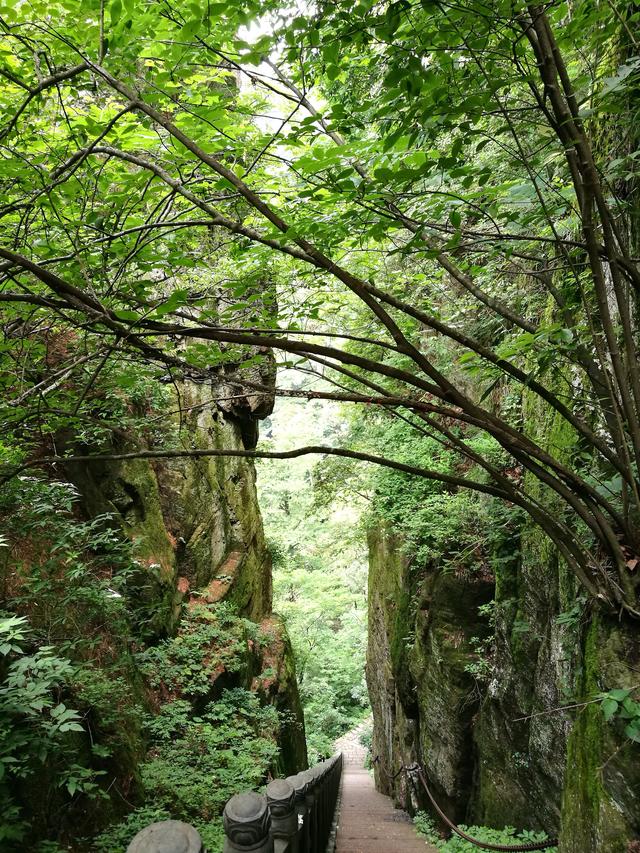 天目山旅游攻略一天游（皖南浙北逛两天之三）(9)