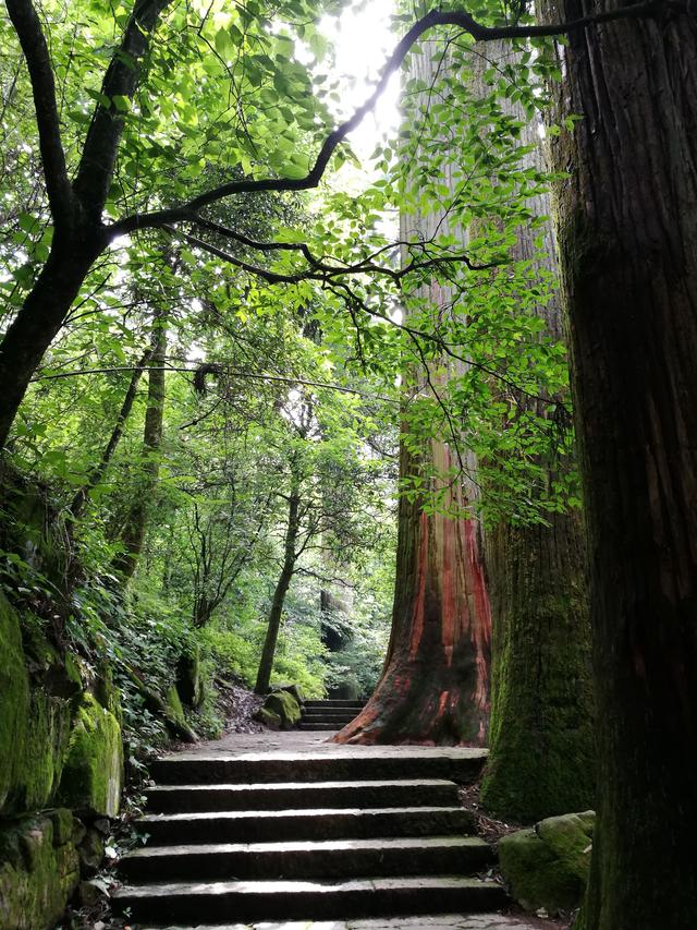 天目山旅游攻略一天游（皖南浙北逛两天之三）(3)