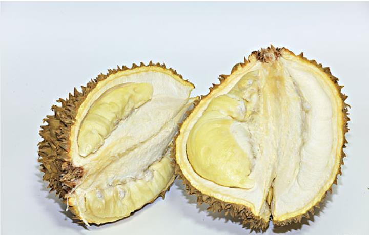 榴莲开了能放着过夜吗 榴莲必须要炸开才能吃吗 榴莲开了能放着过夜吗 榴莲必须要炸开才能吃吗