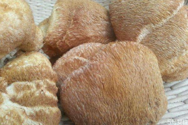 什么是猴头菌呢 猴头菌有什么营养价值呢