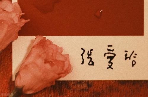 旗袍里的秘密迅雷(传统旗袍美丽的秘密)-第1张图片-