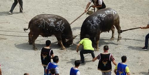 沥尽心血，目不窥，气冲斗牛，慷慨淋漓这些成语是什么的意思