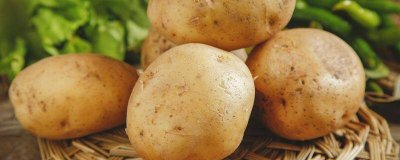 ​土豆发芽到什么程度不能吃? 土豆发多长的芽不能吃