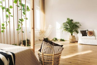 ​花蕾和花蕊什么区别