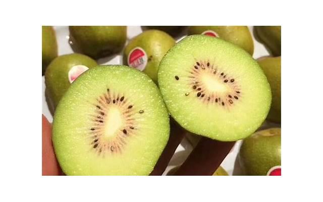 丈夫诬陷妻子出轨怎么办