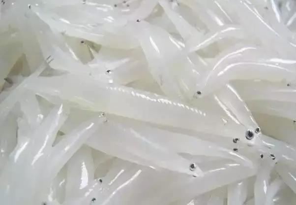 湖州船菜“清蒸白鱼”