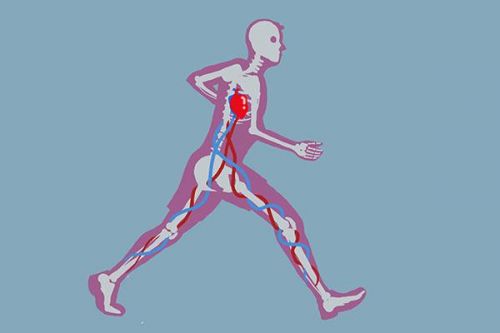 走路脚底板疼怎么回事?走路脚底板疼挂什么科-第1张图片-