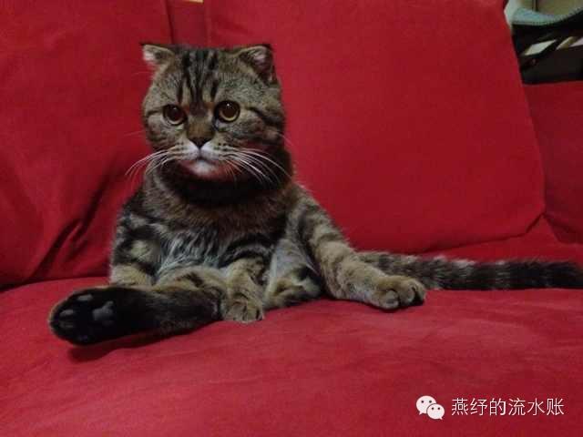 爱斯基摩人的生活习惯是什么(冰雪之原下涌动的奇幻故事)(2)