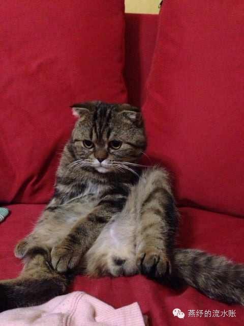 爱斯基摩人的生活习惯是什么(冰雪之原下涌动的奇幻故事)(3)