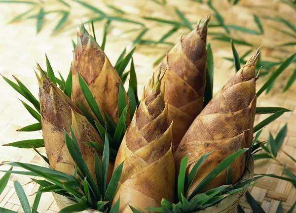 春笋保存方法冷冻,春笋怎么保存好图4