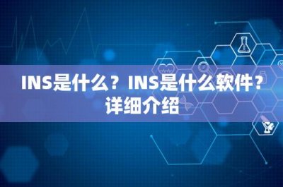 ​INS是什么？INS是什么软件？详细介绍