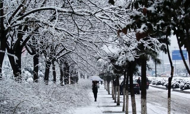 有哪些下雪天发朋友圈的精美句子图1