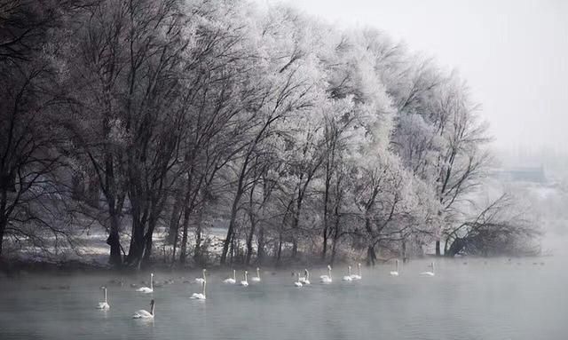 有哪些下雪天发朋友圈的精美句子图5