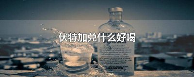 ​原味伏特加兑什么好喝 冰萃伏特加兑什么好喝