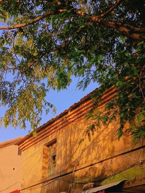 生活琐碎图片 生活琐碎图片带字