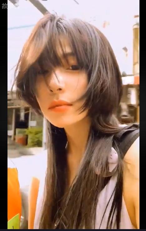 网络图片(侵删)