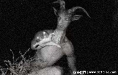 ​山羊人真的存在吗？ 至今没有活的山羊人或者是尸体