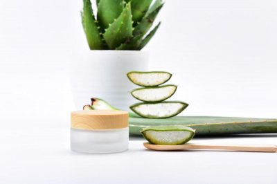 ​芦荟叶子发红怎么办