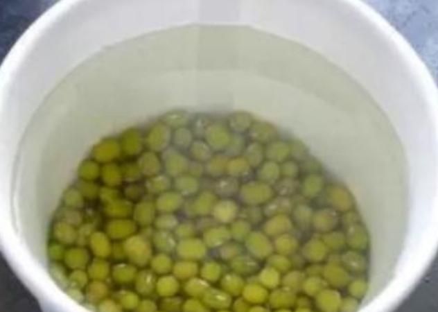 绿豆可以放多久