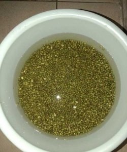 ​绿豆能放多久,绿豆能放多久