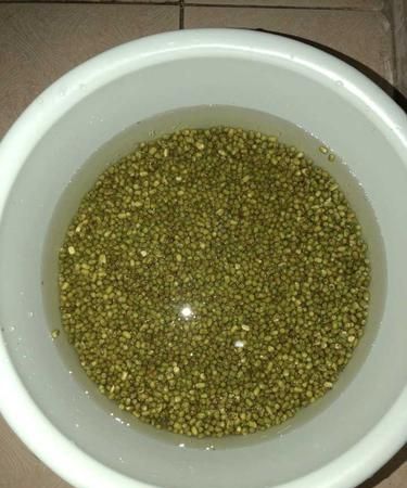 绿豆能放多久