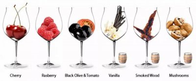 ​黑皮诺红酒的香气(哪个品牌的黑皮诺红酒好喝)