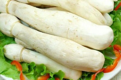 ​小鸡腿菇的做法大全