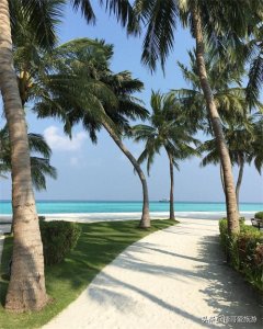 ​马尔代夫 卡尼岛