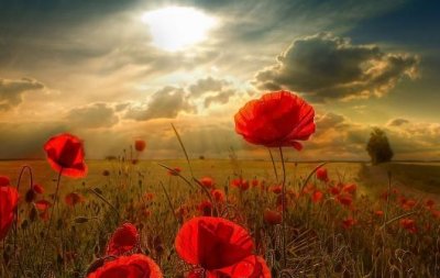 ​在旅途中关于饮食的学问