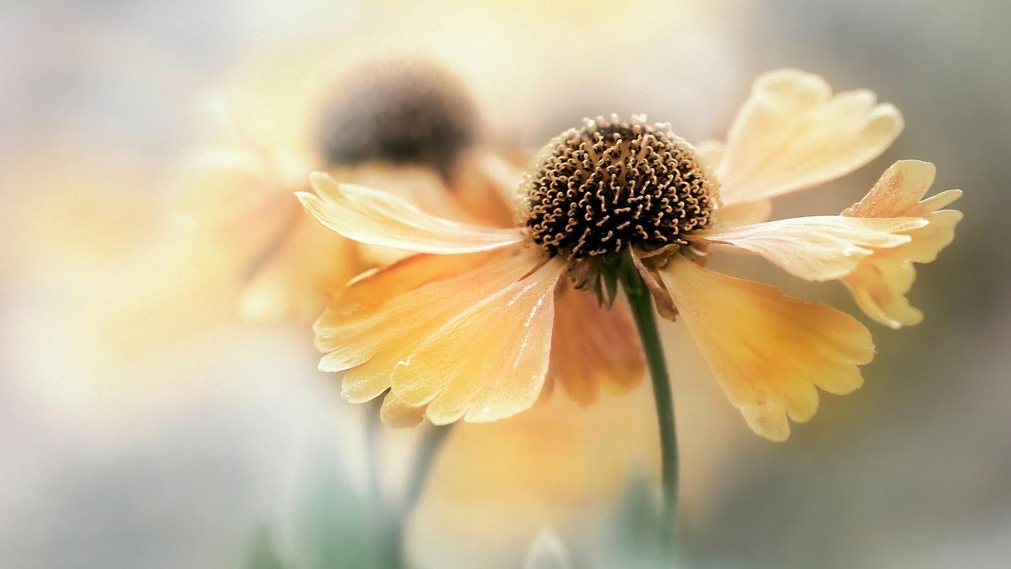 两个务必是指什么（两个务必详细介绍）