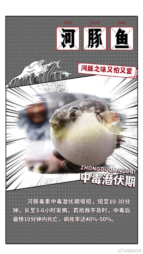河豚鱼中含的河豚毒素是什么（河豚鱼中含的河豚毒素介绍）