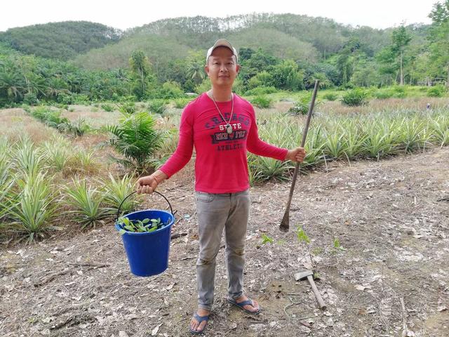 萨瓦迪卡什么意思(萨瓦迪卡的正确用法)