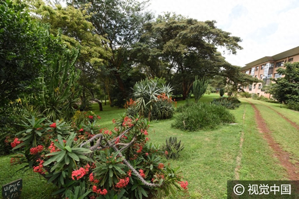 探访联合国环境署总部绿色办公楼