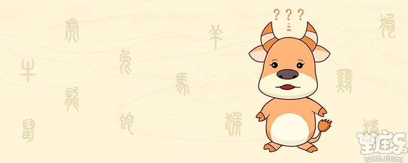 属牛人的性格是什么样的.jpg