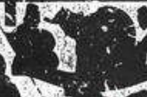 庆忌是谁的儿子：吴王僚(父子二人都因被刺客刺杀而死)