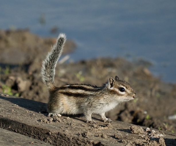 1762874369763140.jpeg 4d997adf54691e22ce9e7c05cb5ffb09.jpeg