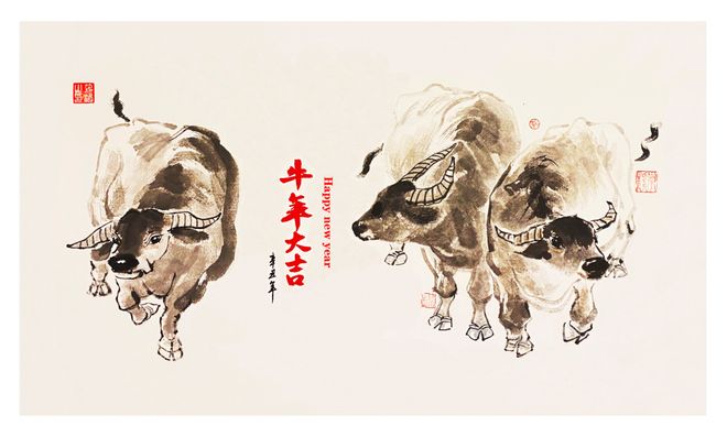 1762875678170456.jpeg 5c2f09e2fa9f850098c28b16162d4e2e.jpeg